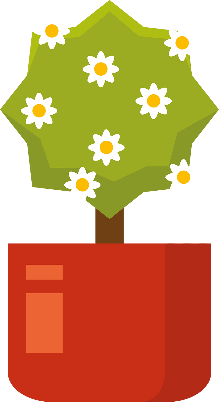 花盆