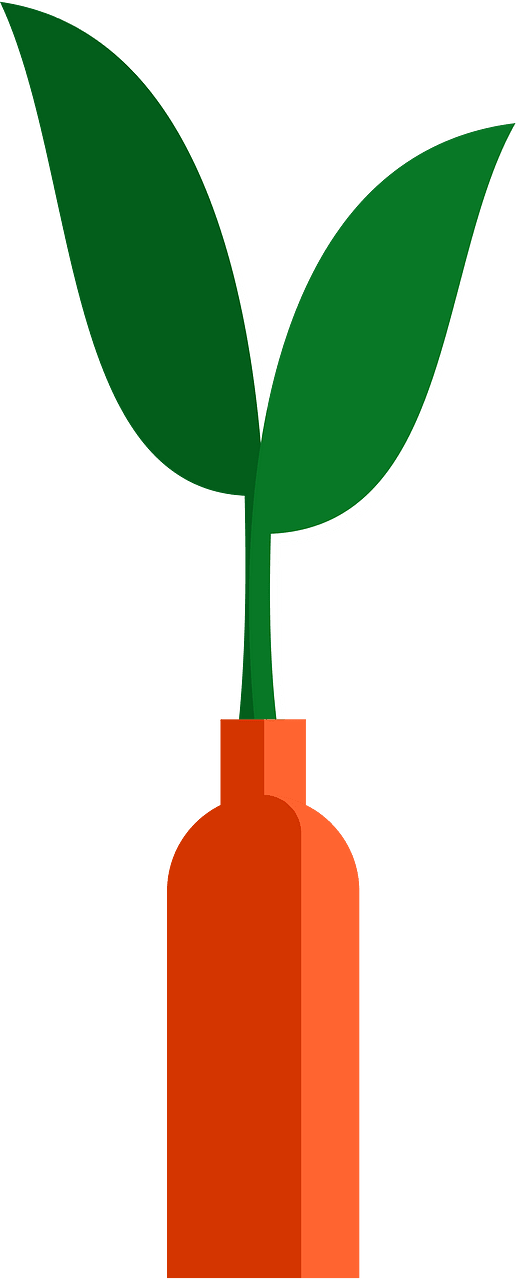 Flower in vase