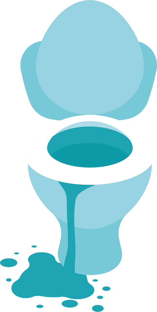Overflowed toilet bowl
