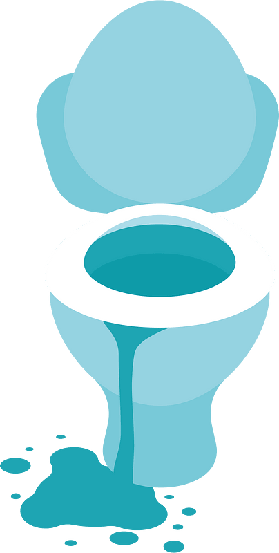 Overflowed toilet bowl