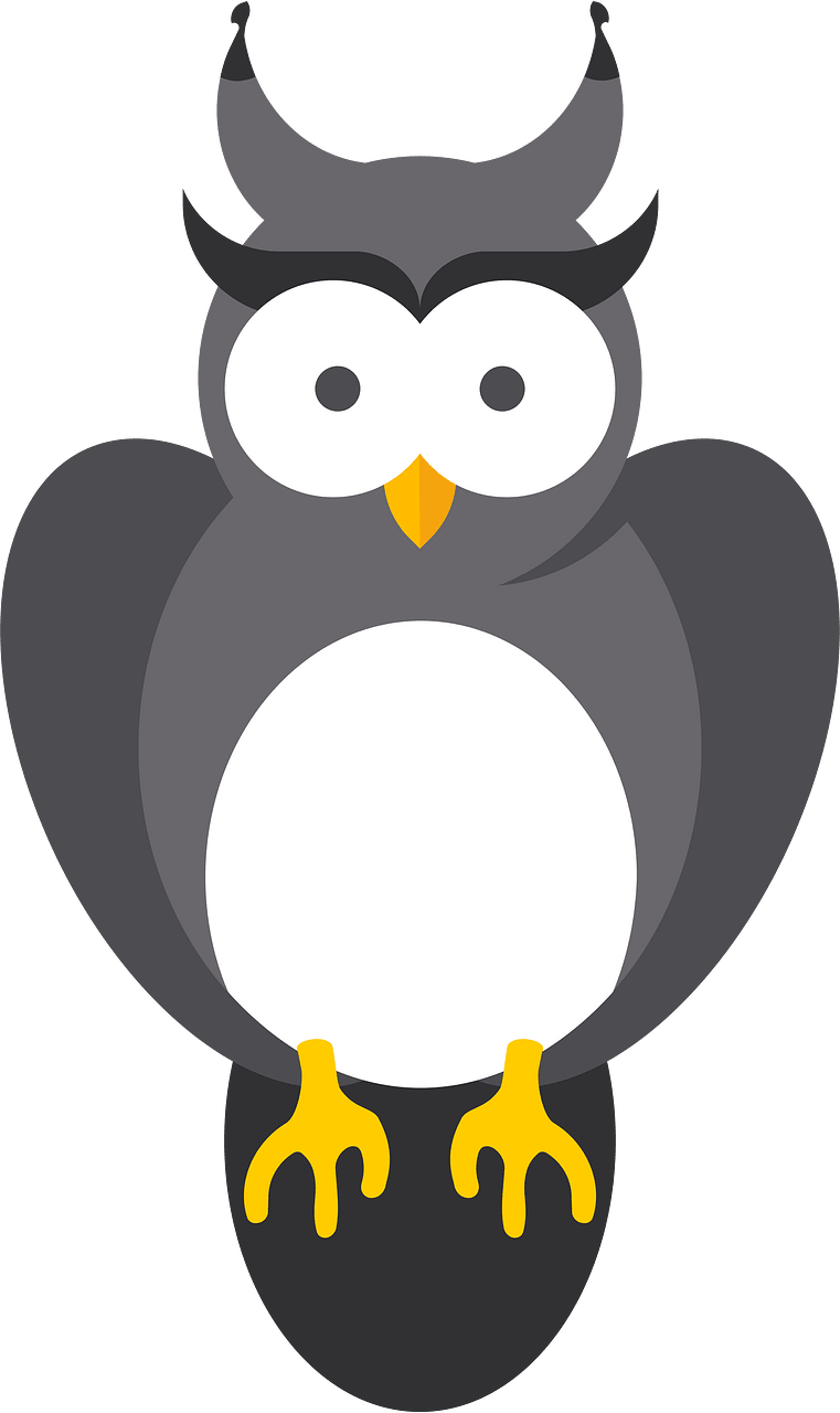 Owl bird