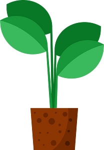 Semai