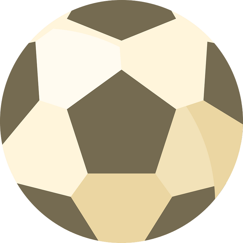 Bola sepak