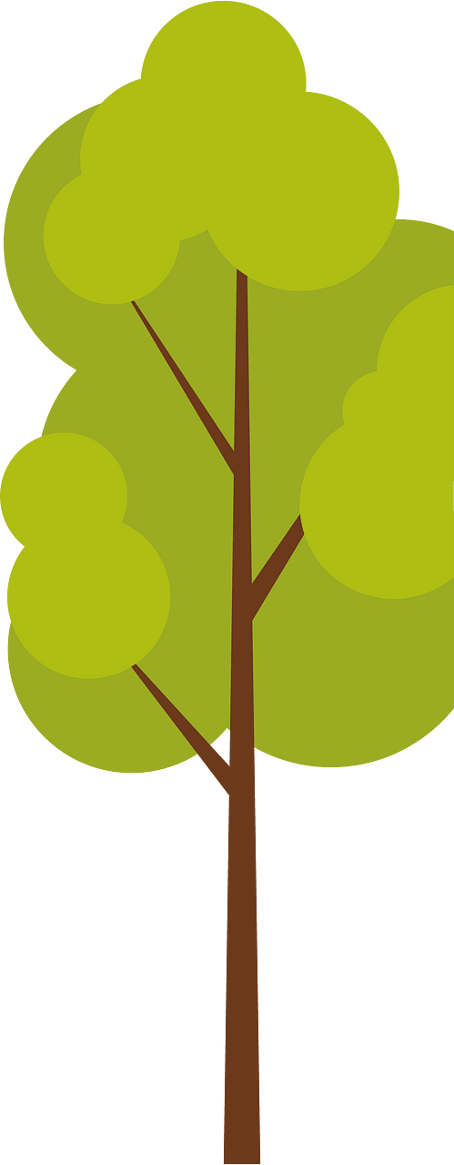 Pohon