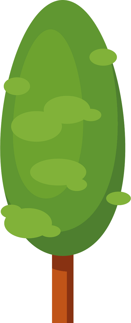 Pohon