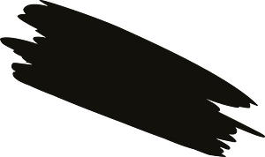 Brush set