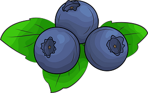 Blueberries
