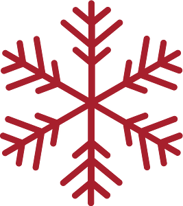 Christmas icons vector