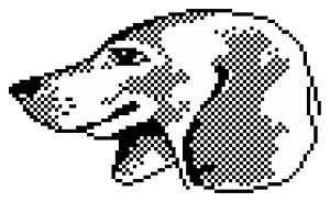 Minipix - Dachshund