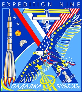 Expedition 9 insignia