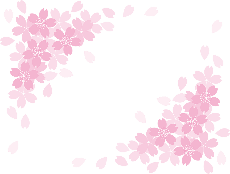 Cherry blossoms frame