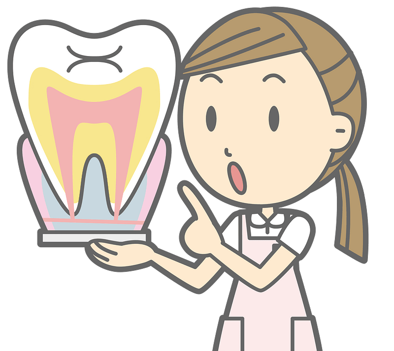 Dental hygienist