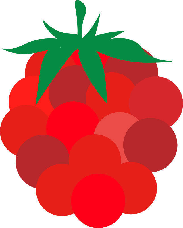 Fruits raspberry
