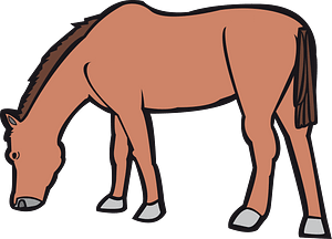 馬