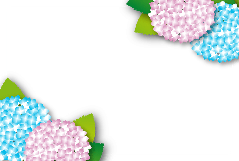 Hydrangea frame
