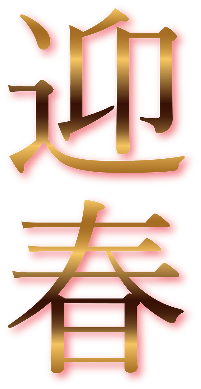 Japanese new year