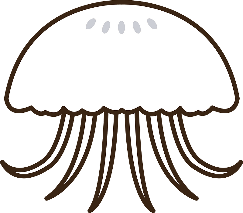 Jellyfish