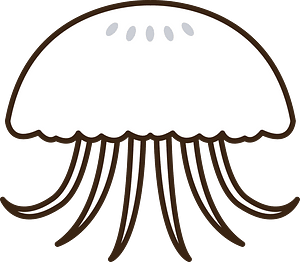 Jellyfish