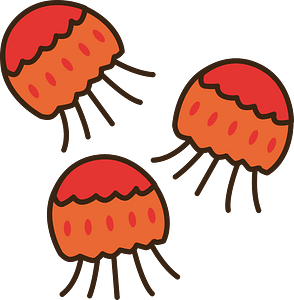 Jellyfish animal