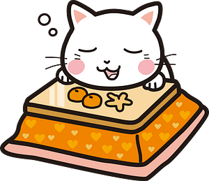 Kotatsu furniture