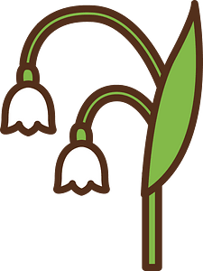 Lily of the valley