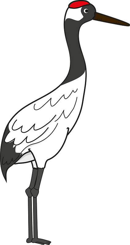 Red crowned crane