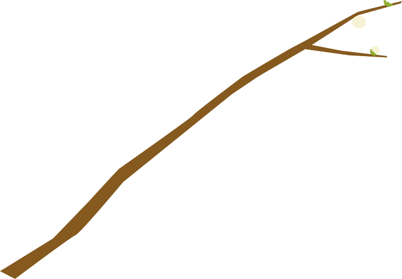 Shimenawa decoration