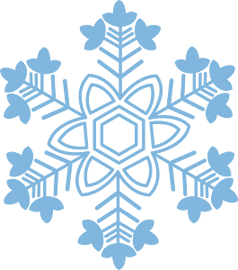 Snowflake winter