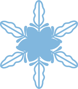 Snowflake winter