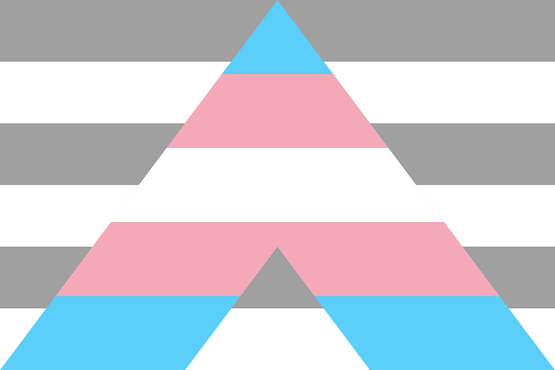 Trangender ally flag