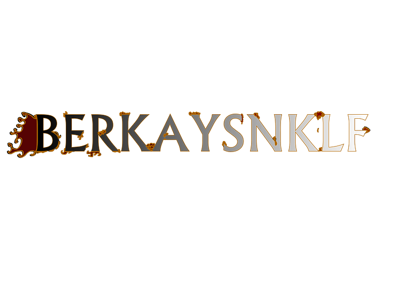Berkaysnklf Logo
