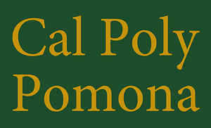 Cal Poly Pomona self-made name tag