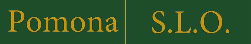 Two Cal Poly self-made name tag