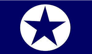 Loksatta party flag