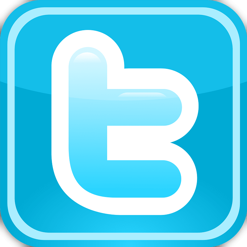 Twitter Logo Mini