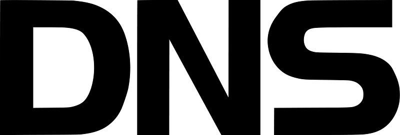 Daejin Networks Systems logo