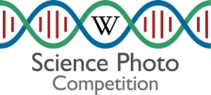 Logo for e-Science Photo Competition v2