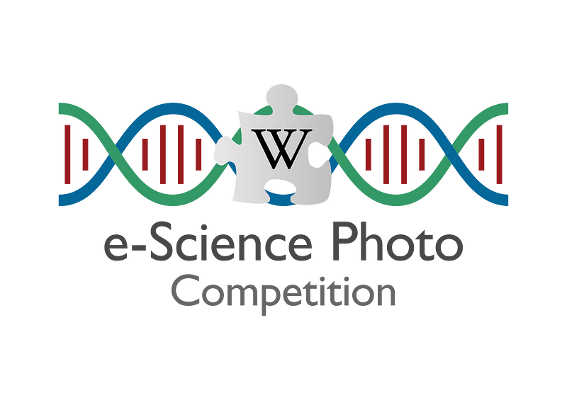 Logo for e-Science Photo Competition v1