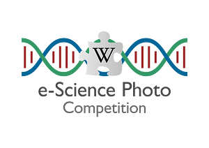 Logo for e-Science Photo Competition v1