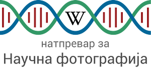 Logo for e-Science Photo Competition v2 mk