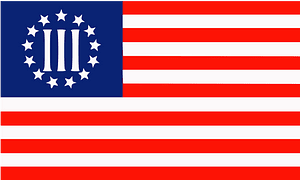 3 Percenters flag