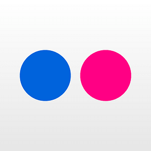Flickr large white chiclet logo - no rounded corners, no border