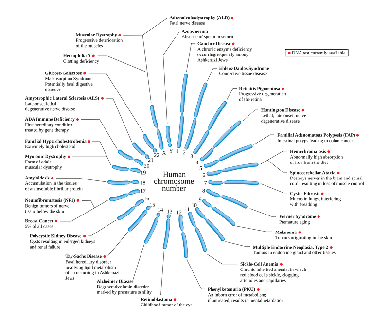 Human chromosome diseases set en