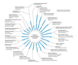 Human chromosome diseases set en