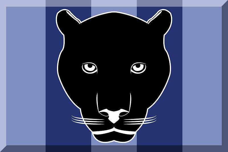 Blue and light blue with black puma