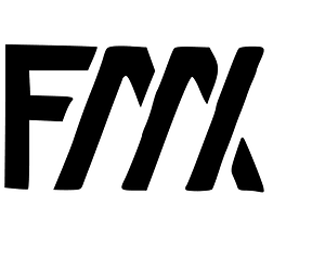 FMX logo