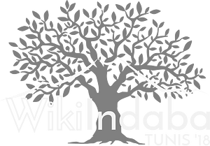 WikiIndaba2018 Tunisia white v2