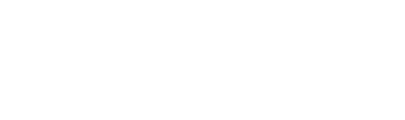 CAINZ logo White