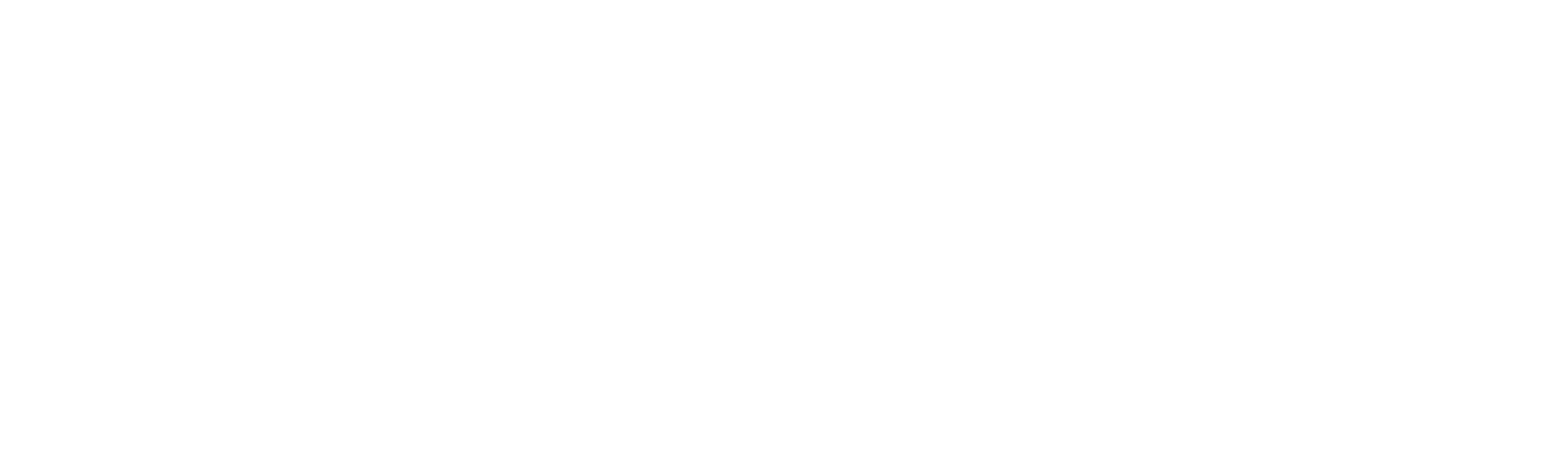 cainz-logo-white-clipart-