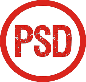 PSD logo (Mexico, 2005-2009)